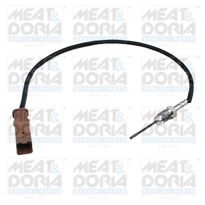 Sensor, exhaust gas temperature